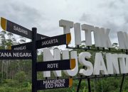 IKN Tertunda, Mengapa Presiden Jokowi Menunda Kepindahan Kantornya?
