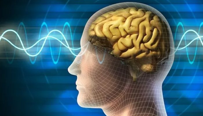 Rahasia Otak Sehat, Kunci Hidup Panjang dan Berkualitas