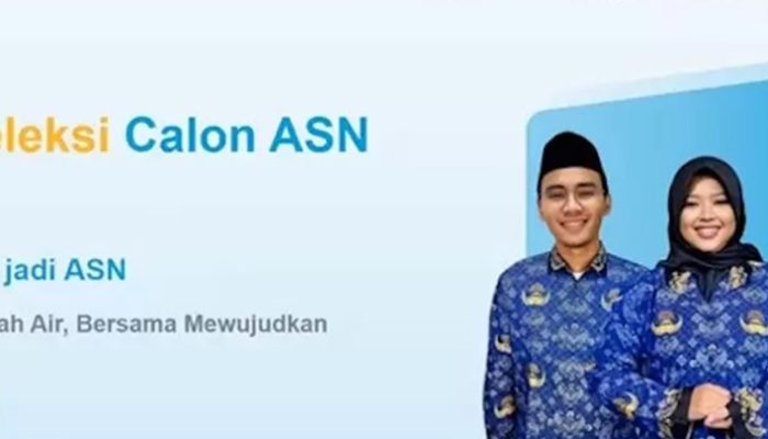 ASN 2024, Kesempatan Emas untuk Mengabdi, Begini Cara Daftarnya