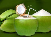 Rahasia Sehat di Balik Kenikmatan Kelapa, Nutrisi Lengkap dari Daging hingga Airnya