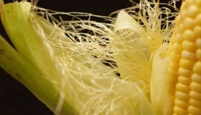 Rahasia Rambut Jagung, Solusi Ampuh Atasi Diabetes dan Penyakit Lainnya!