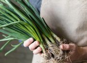5 Keajaiban Daun Bawang untuk Kesehatan: Nutrisi dan Manfaatnya