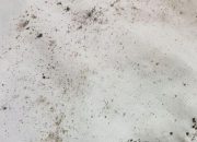 Bebas Jamur, Bebas Bau! Panduan Membersihkan Pakaian yang Berjamur