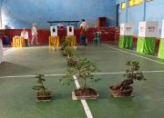 Dari Bonsai hingga Akses Ramah Disabilitas, TPS 02 Kawali Jadi Bintang Pilkada Ciamis