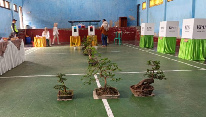 Dari Bonsai hingga Akses Ramah Disabilitas, TPS 02 Kawali Jadi Bintang Pilkada Ciamis