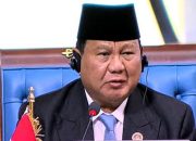 D-8 Sebagai Pilar Kekuatan Dunia Selatan, Seruan Presiden Prabowo untuk Persatuan dan Kemajuan