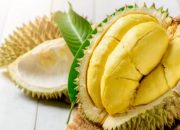Fakta Menarik, Berapa Banyak Gula dalam Durian? Simak Penjelasannya!