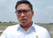 Pemerintah Pastikan 2 Juta Sapi Hidup Bukan Impor Konsumsi, tapi Investasi Swasta