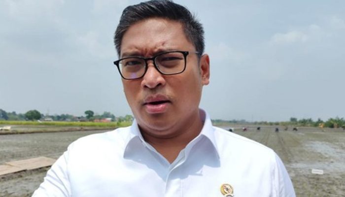 Pemerintah Pastikan 2 Juta Sapi Hidup Bukan Impor Konsumsi, tapi Investasi Swasta