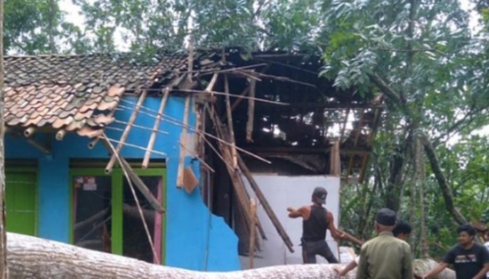 Angin Kencang Terjang Ciamis, Sejumlah Rumah Rusak dan Pohon Bertumbangan