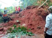 Longsor di Ciamis Tutup Jalan Penghubung, BPBD dan Aparat Lakukan Evakuasi