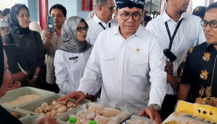 Mendag Budi Santoso Bantah Isu Pengemasan Ulang MinyaKita, Klaim Harga Mulai Turun