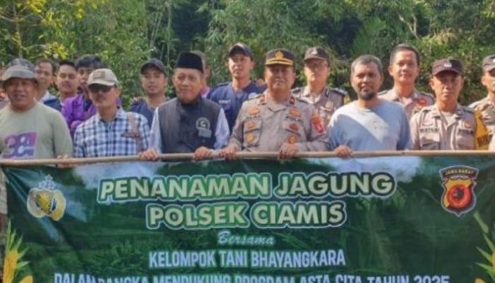 Polsek Ciamis Bersama Warga Tanam Jagung, Dukung Ketahanan Pangan Nasional