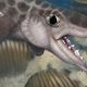 Jejak Hiu Purba di Perut Gua Mammoth, Temuan Spesies Baru Berusia 340 Juta Tahun