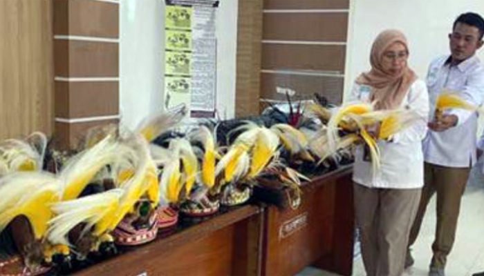 Pembakaran Mahkota Ondoafi Berbuntut Panjang, BBKSDA Papua Didemo Masyarakat Adat